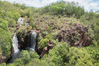 Scenic view of waterfall in forest