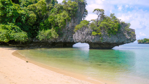 Scenic view of sea against trees