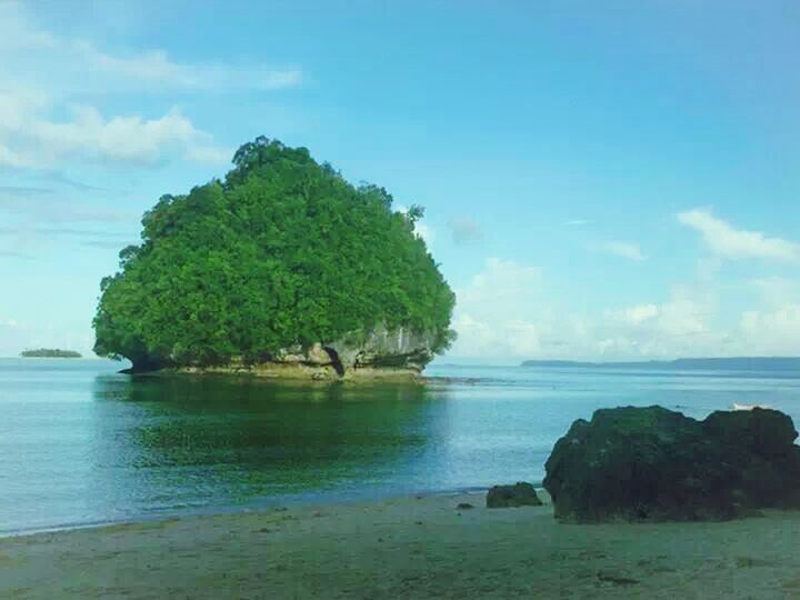 water, sea, tranquil scene, tranquility, scenics, sky, tree, beauty in nature, blue, nature, horizon over water, beach, shore, idyllic, day, calm, coastline, outdoors, no people, cloud