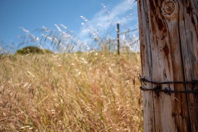 Close-up of wooden post on field