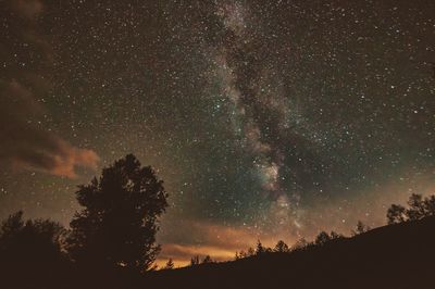 Low angle view of silhouette trees against sky at night