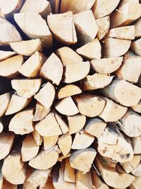 Full frame shot of tree logs in forest