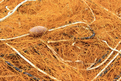 Full frame shot of fishing net