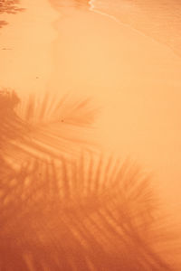Close-up of palm leaf against sky during sunset