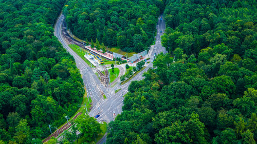 High angle view of road amidst trees in forest