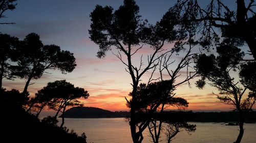 Silhouette trees by sea against sky during sunset