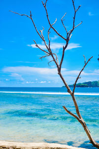 Scenic view of sea against blue sky