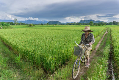 Scenic view of agricultural field against sky