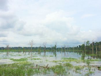 Scenic view of lake against sky