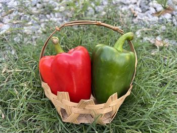 Close-up of bell peppers on hay