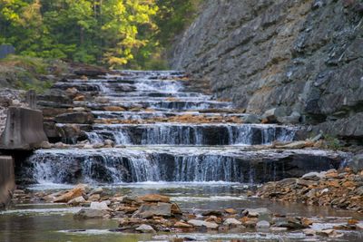 Scenic view of waterfall in forest