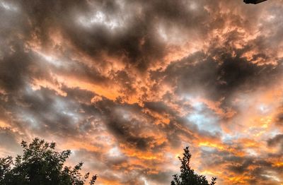 Silhouette of trees against dramatic sky