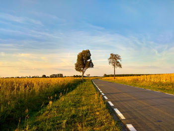 Scenic view of field against sky during sunset