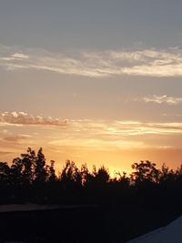 Silhouette trees against sky during sunset
