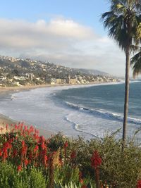 Scenic view of beach by sea against sky