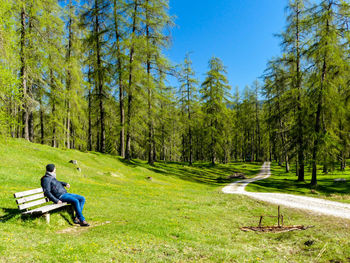 Man sitting on grass in forest