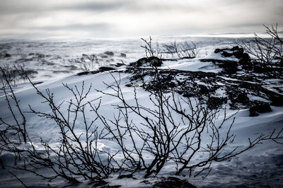 Scenic view taken in high winds  of  the snowcapped hills in utsjokl, finland..