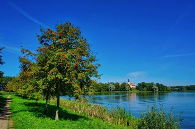 Scenic view of lake against blue sky