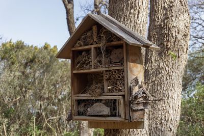 Low angle view of birdhouse on tree trunk in forest