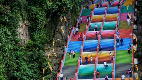 High angle view of people on multi colored trees