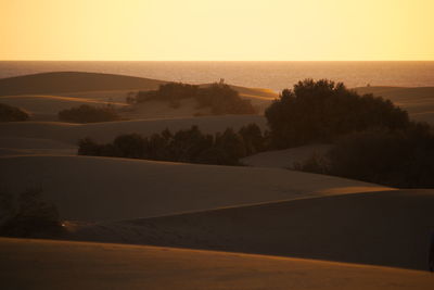 Scenic view of landscape against clear sky