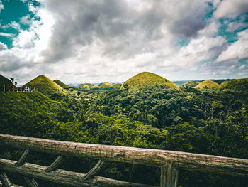 Plants growing on land against sky