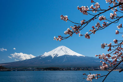 Scenic view of snowcapped mountains against blue sky