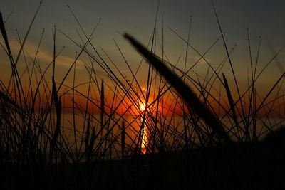 Scenic view of sunset