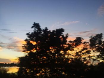 Silhouette trees in forest against sky at sunset