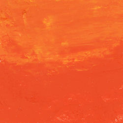 Close-up of red orange