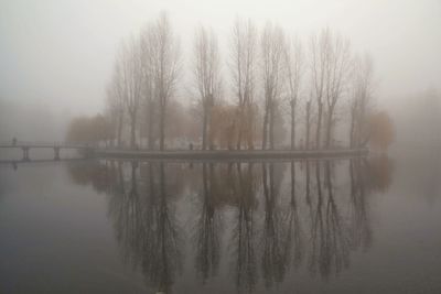 Reflection of trees in lake against sky