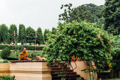 Man sitting by plants against trees and building against sky