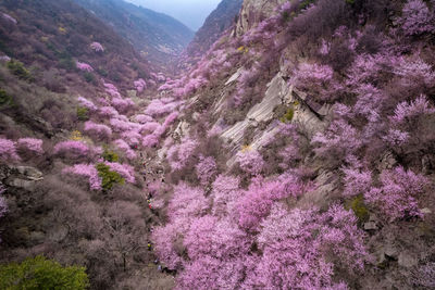 Scenic view of mountains