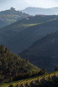 High angle view of agricultural landscape