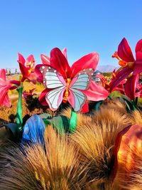 Close-up of multi colored flowering plants against blue sky