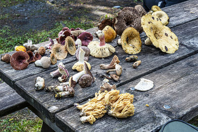 High angle view of mushrooms on table