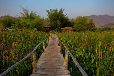 Boardwalk amidst trees on field against sky