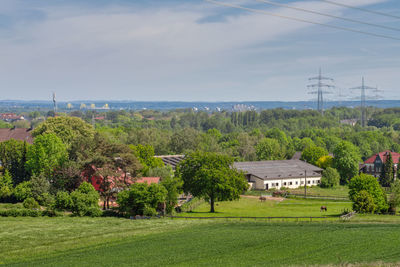 Trees and plants on field against sky