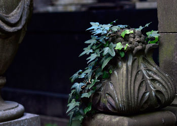 Leaves on old sculpture at cemetery