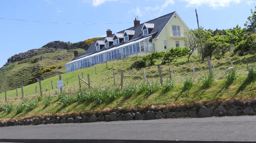 Road by trees and buildings against sky