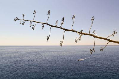 View of sea against clear sky