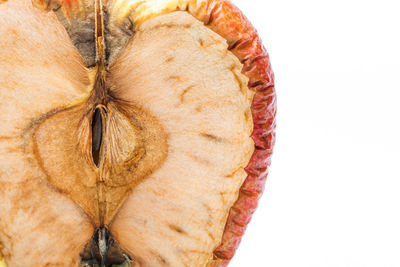 Close-up of pumpkin against white background