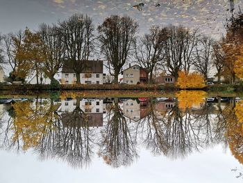 Reflection of bare trees and buildings in lake