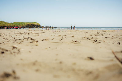 Scenic view of beach against clear sky