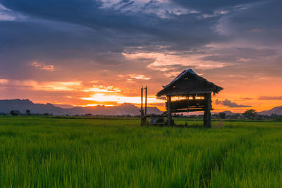 Lifeguard hut on field against sky during sunset