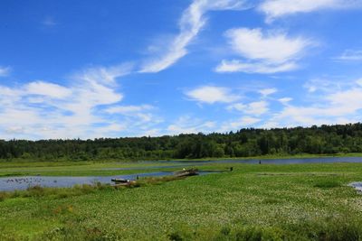 Scenic view of field against sky