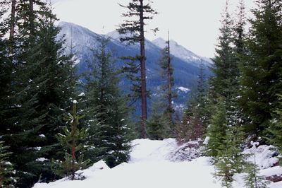 Scenic view of snow covered mountains