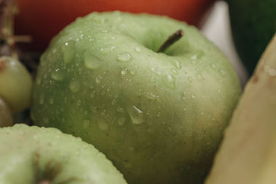 Close-up of wet apple on plant