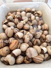 High angle view of food