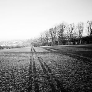 Bare trees on field against clear sky